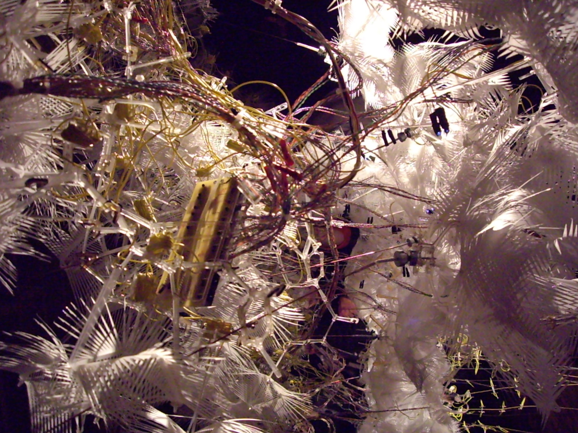 YOKED PODCAST// Yoga for Real-Life Yogis